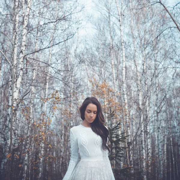 Beautiful lady in a birch forest