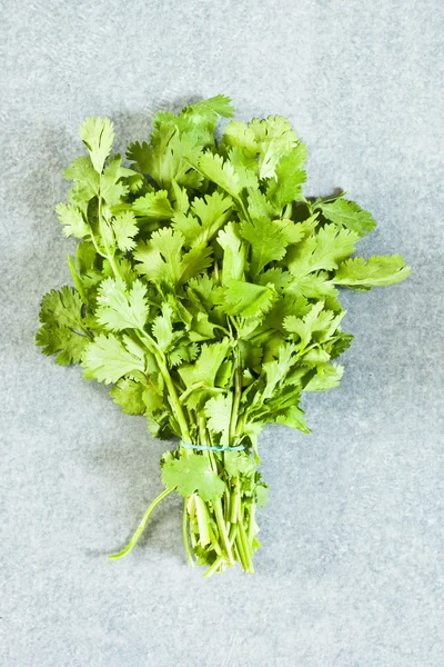 Coriander