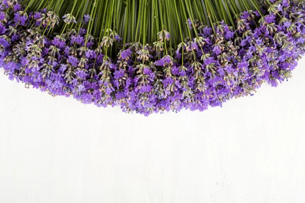 Frame of lavender on a white wooden background