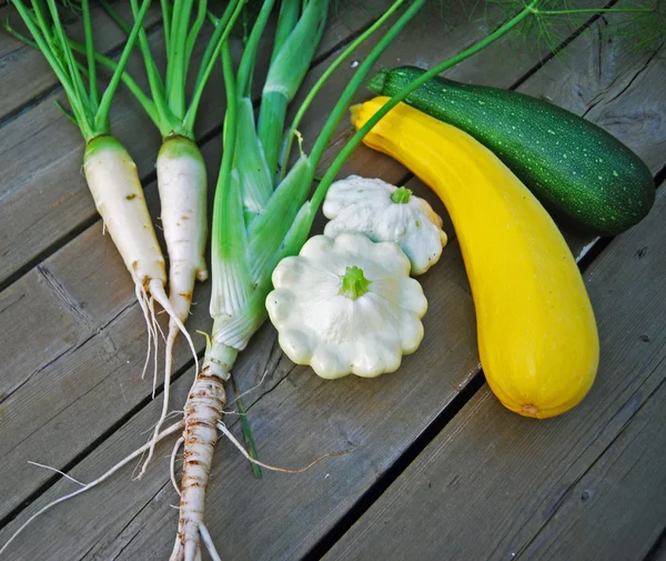 Organic White Carrots, Fennel Plant, Pattypans, Yellow Zucchini, Green Zucchini