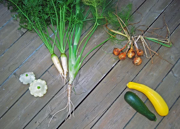 White Carrots, Fennel Plant, Pattypans, Onions, Yellow Zucchini, Green Zucchini