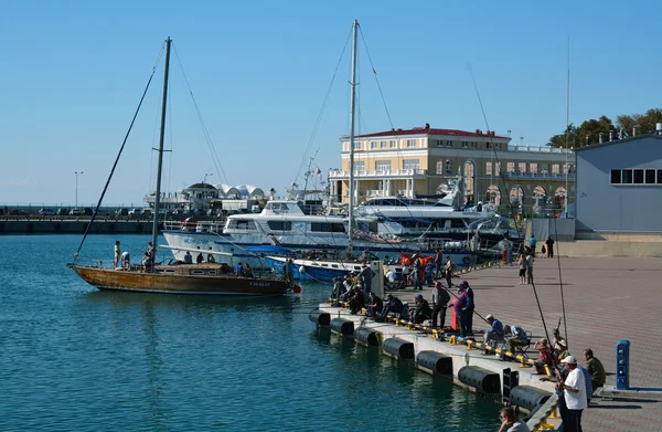 Several people fishing in the port of Sochi