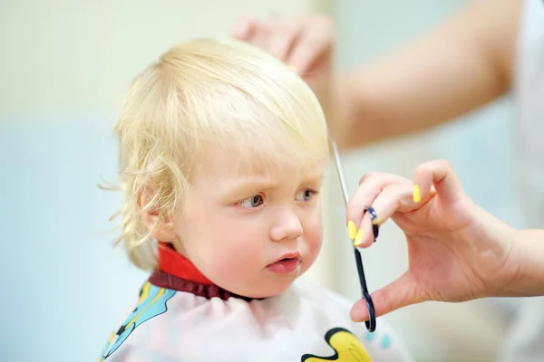 Toddler child getting his first haircut