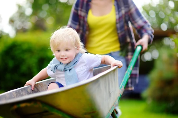 Adorable toddler boy having fun in a wheelbarrow pushing by mum in domestic garden, on warm sunny day
