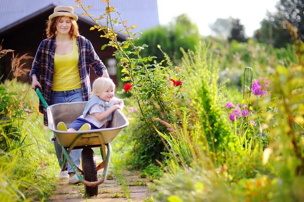 Adorable toddler boy having fun in a wheelbarrow pushing by mum in domestic garden, on warm sunny day