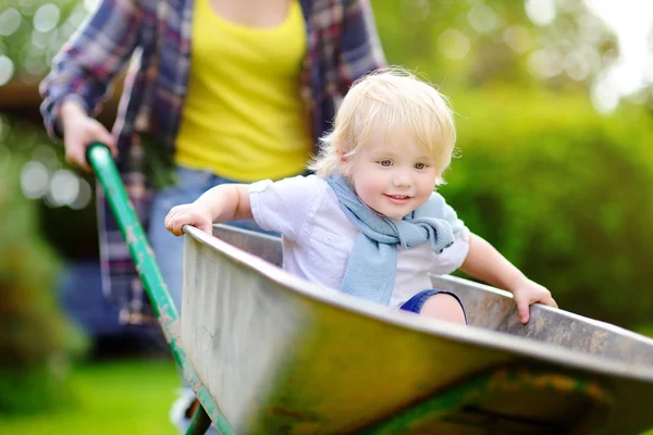 Adorable toddler boy having fun in a wheelbarrow pushing by mum in domestic garden, on warm sunny day