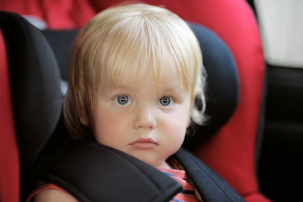 Beautiful toddler boy in car seat