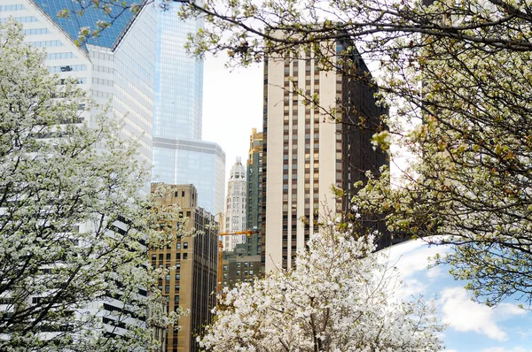 Part of Cloud Gate and Chicago skyline on April 23, 2015 in Chicago, Illinois. Cloud Gate is the artwork of Anish Kapoor as the famous landmark of Chicago in Millennium Park.