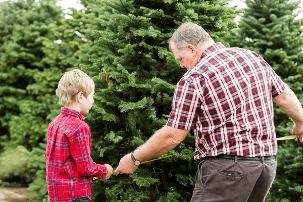 Family selecting a tree for Christmas