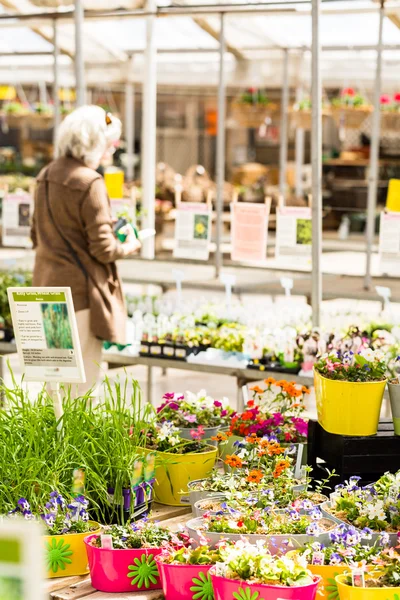 Plants on Spring sale