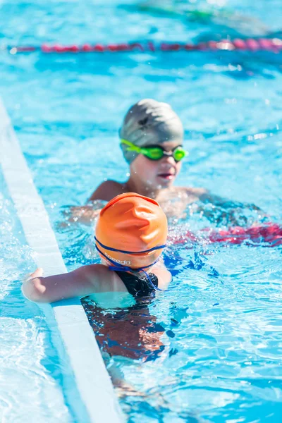 Kids swim meet in outdoor pool