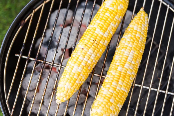 Small summer picnic with corn