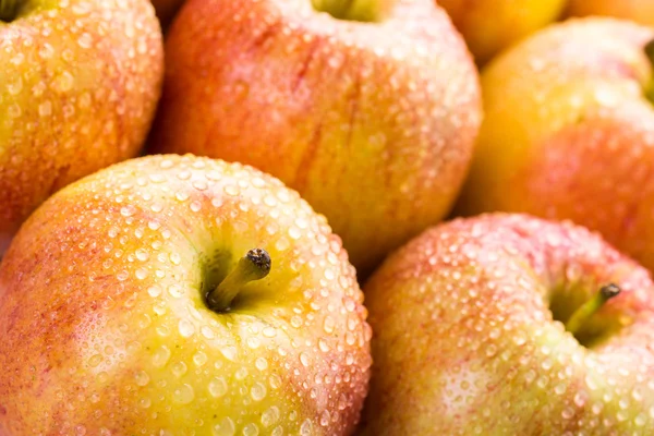 Fuji Organic apples