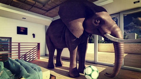 Elephant in the living room 3d rendering