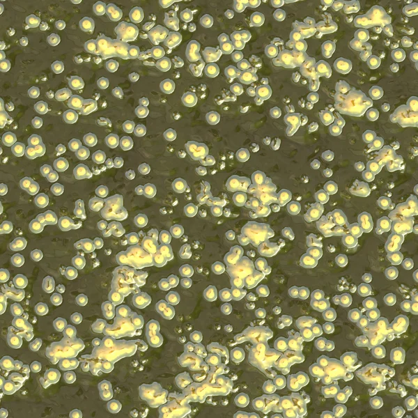 Bacteria under microscope