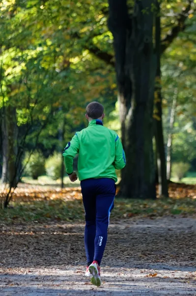 Male jogger in park