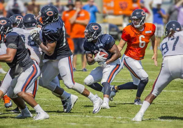 Jeremy Langford, Chicago Bears