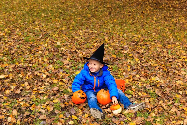 Little boy in halloween costume at autumn park