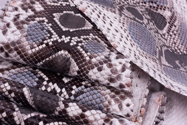 Python snakeskin leather background, snake skin, texture, animal, reptile