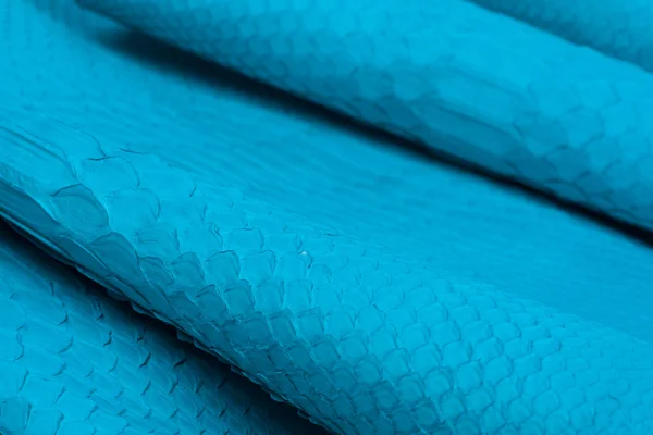 Python snakeskin leather background, snake skin, texture, animal, reptile