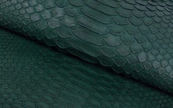 Python snakeskin leather background, snake skin, texture, animal, reptile