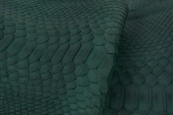 Python snakeskin leather background, snake skin, texture, animal, reptile