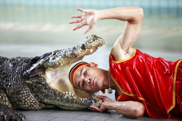 Crocodile show in Thailand