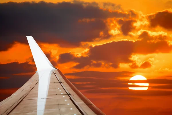 Wing in an orange sky at sunset