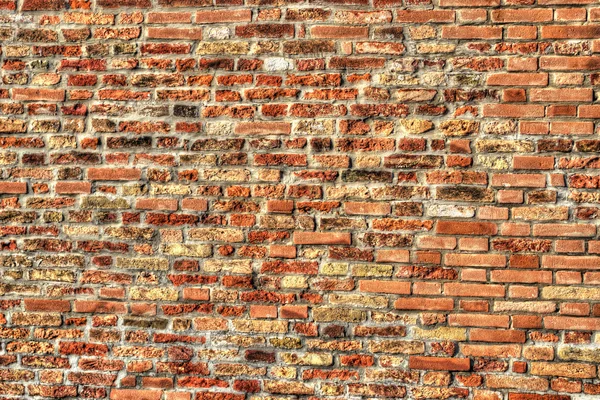 Old brick wall in hdr tone mapping. Vivid colors version