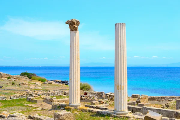 Antique columns by the sea in Tharros