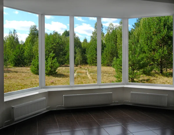 Plastic windows with view of pine forest