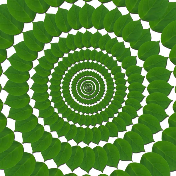 Green circles from leaves