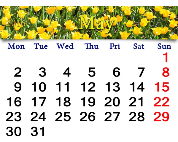 Calendar for May 2016 with yellow tulips