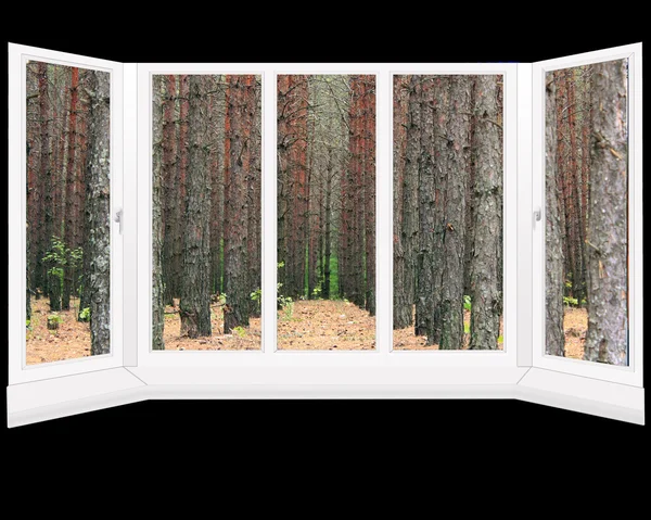 Plastic windows with view of pine forest isolated