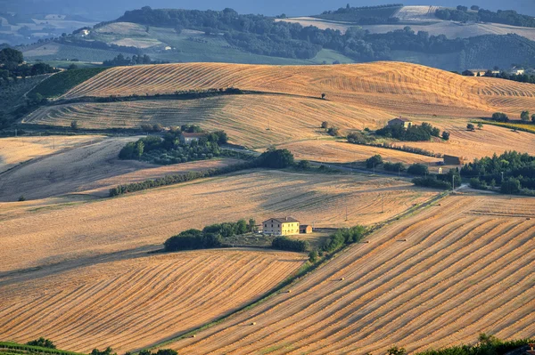 Country landscape in Marches (Italy)