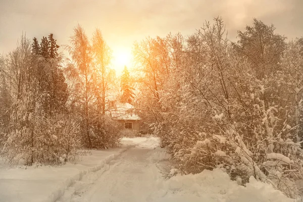 Winter view on villa at forest.