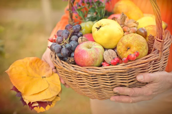 Autumn fruits in hands of woman