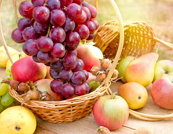 Seasonal fruit - Autumn fruits