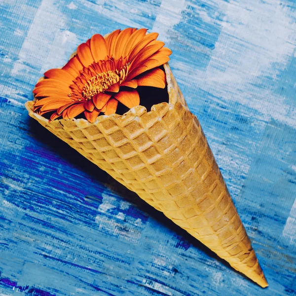Minimalism Art Design. Flowers in waffle cone.