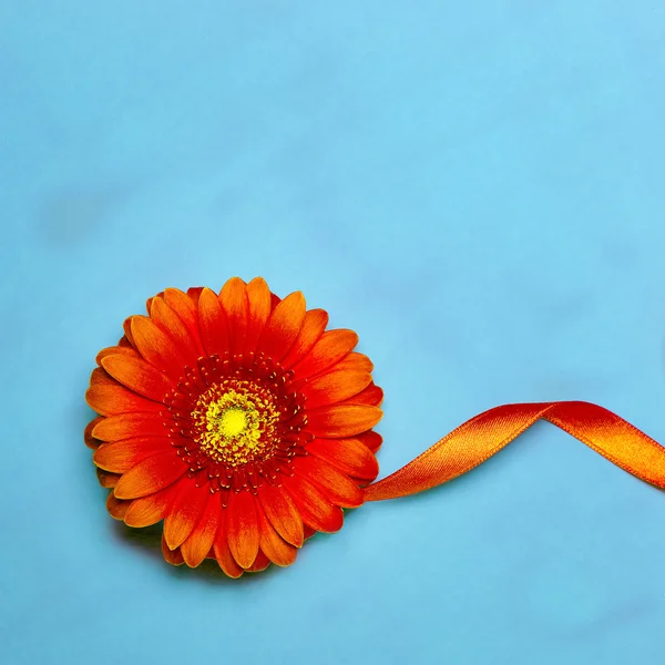 Minimalism Art Design orange flower on a blue background.