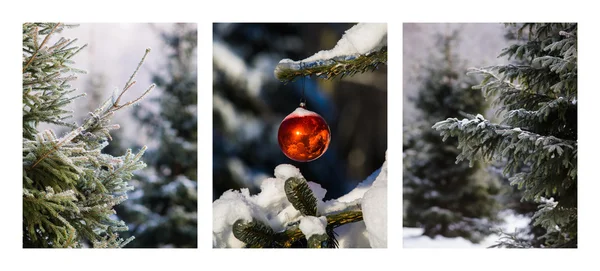 Triptych - Christmas Forest