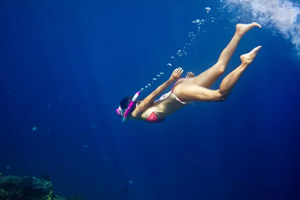 Woman swim underwater in tropical sea