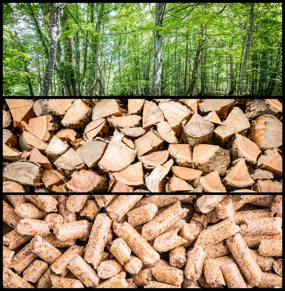 Wood pellet production