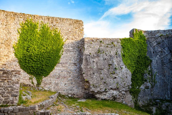 Medieval walls ruins with greenery in Old town Bar, Montenegro,