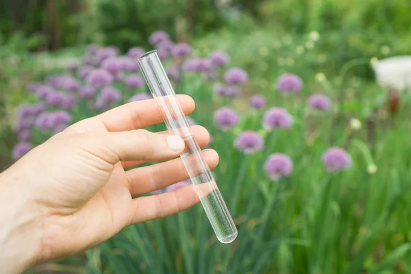 Test tube water in hand, plants in the background.