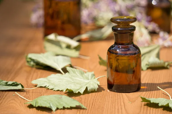 Essential oil in little bottle and medical flowers herbs