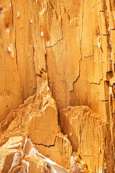 Natural texture. Heartwood