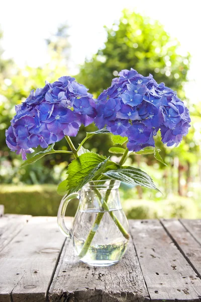 Natural flowers, background