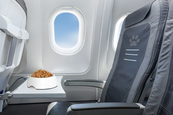 Pet welcome on board