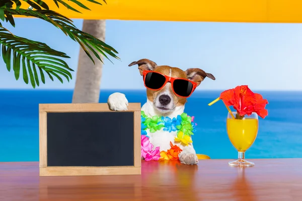 Cocktail dog